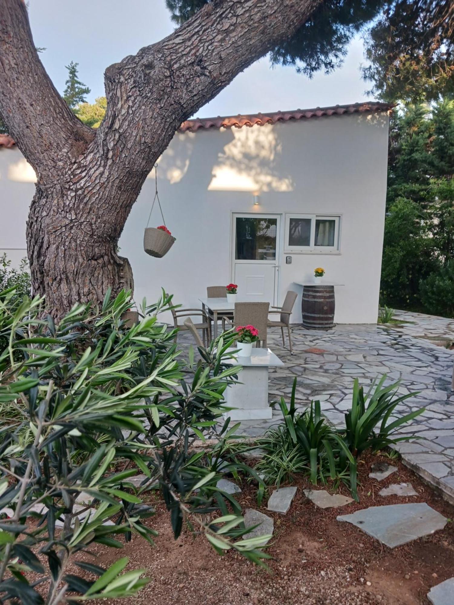 Theros & Trygos Boutique Houses - Ath Airport Artemida  Exterior photo